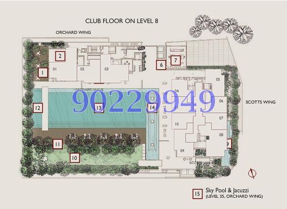 Scotts Square (D9), Apartment #153543822